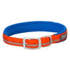 Terrain Reflective Lined Dog Collar, Orange Nylon, 21-In.