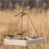 Perky-Pet® Hanging Tray Bird Feeder
