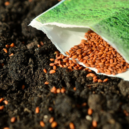 Lawn & GardenGarden seeds
