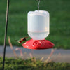 Songbird Essentials Dr. JB complete Switchable 48 oz Feeder with Red Flowers Bulk