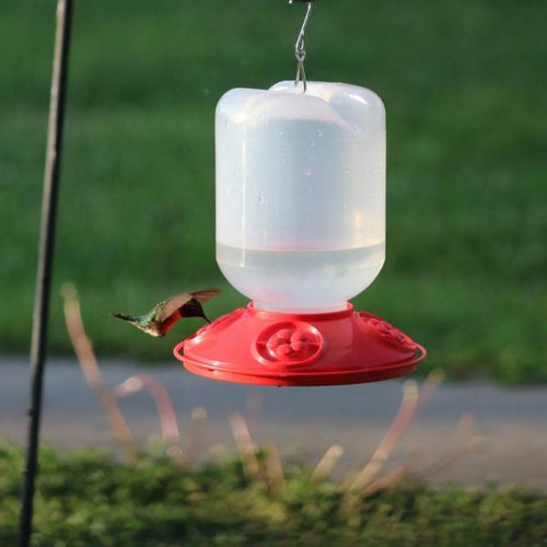 Songbird Essentials Dr. JB complete Switchable 48 oz Feeder with Red Flowers Bulk