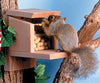 Songbird Essentials Squirrel Munch Box