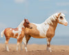Breyer Traditional Series Misty & Stormy - Models and Book Set