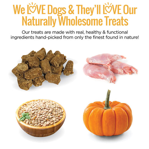 Dog treats, raw meat, pumpkin, and seeds with text about natural wholesome ingredients on a white background