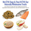 Dog treats, fish, salmon, apples, and seeds with text about natural wholesome ingredients on a white background