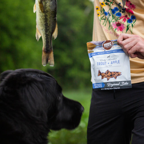 Person holding a package of Smart Cookie dog food with a black dog and fish in the background.