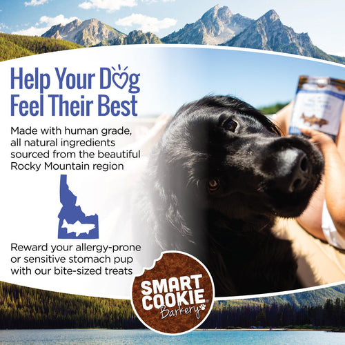 Dog with a treat in front of a scenic mountain landscape, promoting Smart Cookie Barkery products.