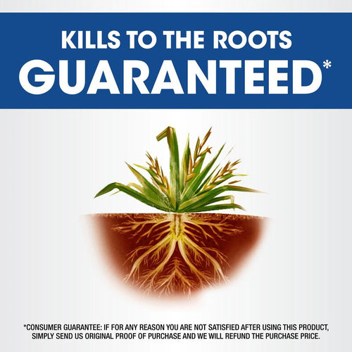 Product advertisement with a plant and roots, and text about guaranteed results.