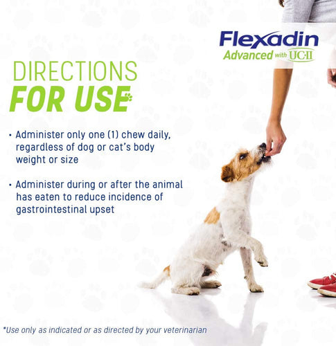 Dog receiving a chew from a person with Flexadin directions for use displayed.