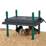Strombergs Radiant Heat Plate Chick Brooders