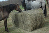 Hay Chix® Large Bale Net