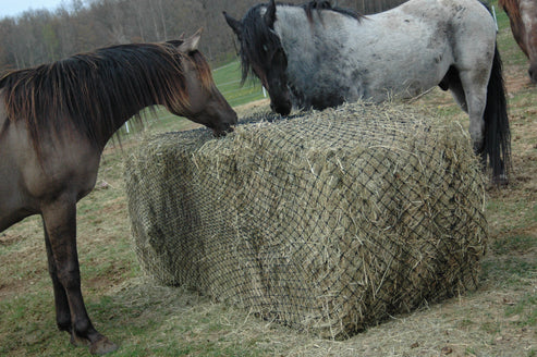 Hay Chix® Large Bale Net