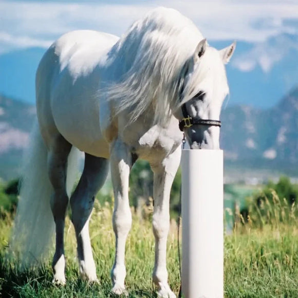 Drinking Post Ultimate Automatic Horse Waterer