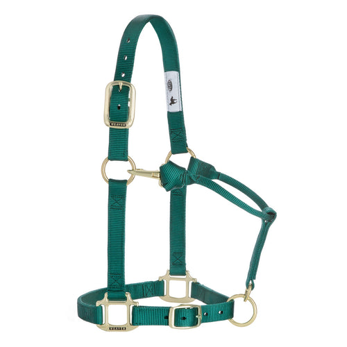 Green horse halter with gold hardware on a white background