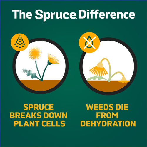 Spruce 24oz Spray Weed & Grass Killer