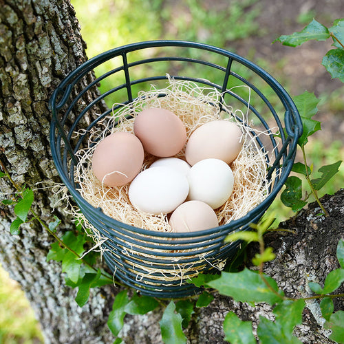 Happy Hen Nest Pads