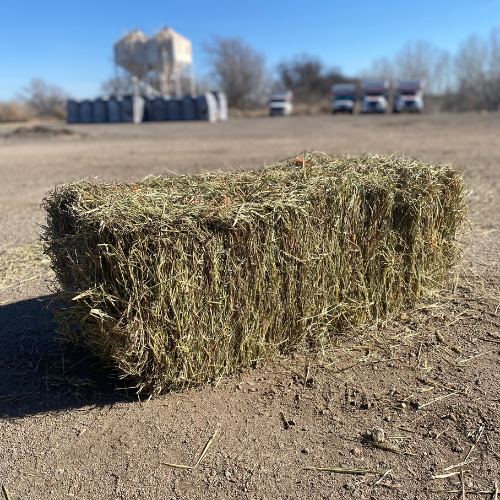 Woodard Mercantile Brome Hay Bale Square