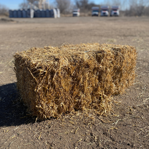 Woodard Mercantile Straw