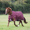 Shires Highlander Plus 100 Standard Neck