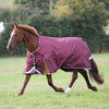 Shires Highlander Plus 100 Standard Neck