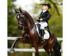 Breyer Megan Dressage Rider 8 Figure
