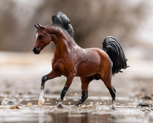 Breyer Mahogany Bay Arabian