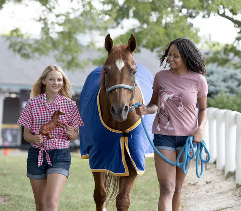 Breyer Checkers Retired