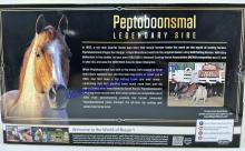 Breyer Peptoboonsmal - Glossy