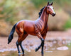 Breyer Tiz the Law Retired