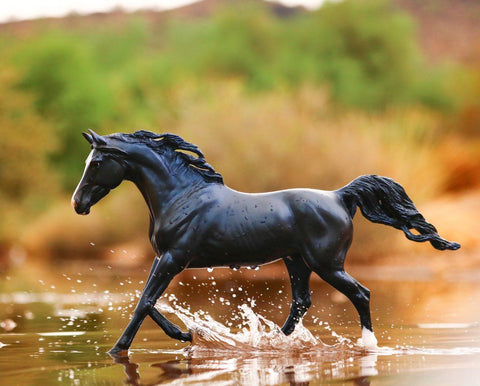 Breyer KB Omega Fahim++++// Retired