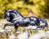 Breyer Sjoerd