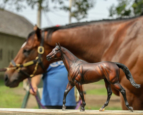 Breyer Cody's Wish Make-A-Wish Commemorative Edition