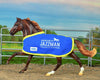 Breyer Avatar's Jazzman