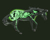Breyer Arachne 2025 Halloween Horse