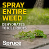 Spruce 24oz Spray Weed & Grass Killer