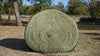 Hay Chix® Large Bale Net 4'