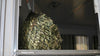 Hay Chix® Quarter Bale Net