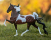 Breyer The Ideal Series | Pinto