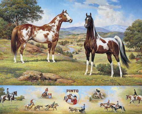 Breyer The Ideal Series | Pinto