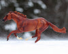 Breyer Secretariat