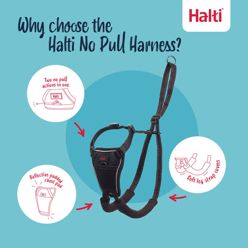 The Company of Animals Halti No Pull Dog Harness
