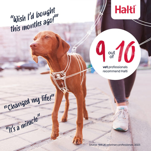 The Company of Animals Halti No Pull Dog Harness