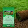 FERTI-LOME New Lawn Starter Fertilizer 9-13-7 (3.25 lbs)