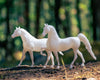 Breyer Paint Your Own Horse | Quarter Horse & Saddlebred | Retired