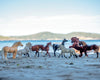 Breyer Deluxe Horse Collection