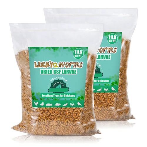 Lucky Q Worms Dried Black Soldier Fly Larvae
