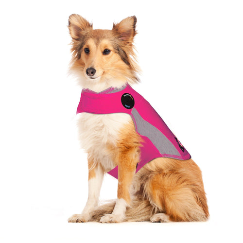 Thunderworks ThunderShirt for Dogs: Pink Polo