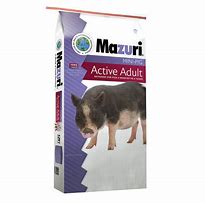 Mazuri Mini Pig Adult 25lb 2