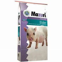 Mazuri Mini Pig Mature Maintenance Foodelder 25lb 2
