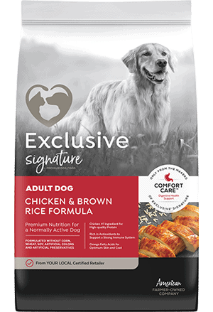 Exclusive Signature Adult Chicken Brown Rice Formula